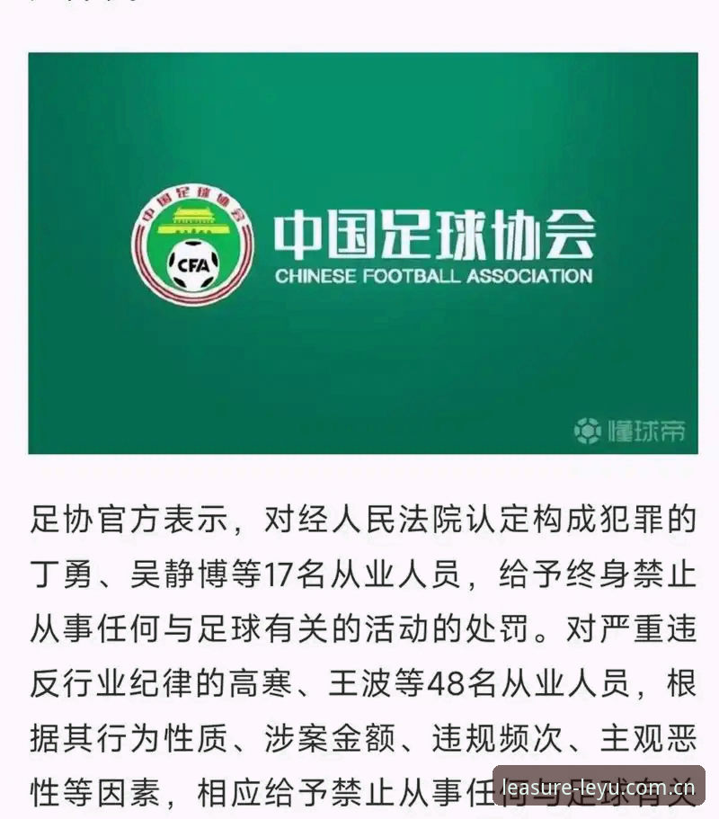 中国足协第三批禁足名单解读实用指南——17人终身禁赛背后的行业警示